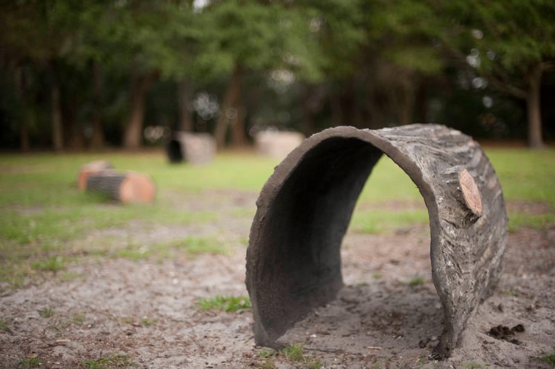 Al Lopez Dog Park preview 9